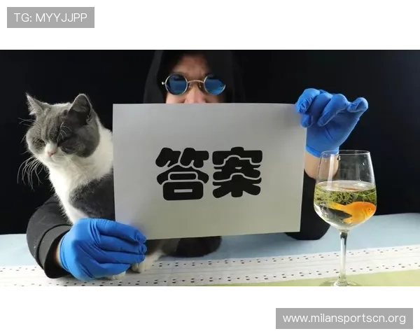 博鱼平台最新玩法介绍帮助玩家轻松掌握游戏技巧提升体验